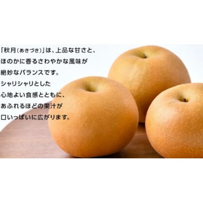 あきづき 梨 10kg(18～24玉)【2026年10月より発送開始】(茨城県共通返礼品:大子町産)