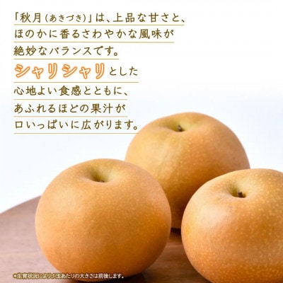 【2026年10月～発送】あきづき梨 10kg(18～24玉)(茨城県共通返礼品 [梨]:大子町産)
