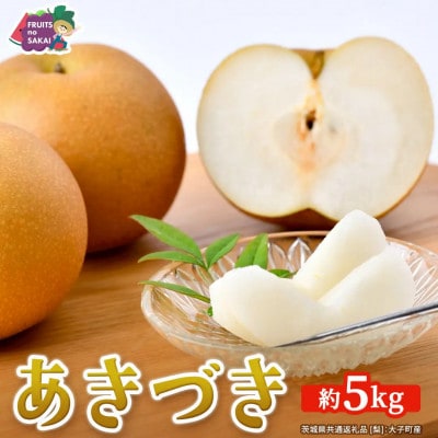 【2026年10月～発送】あきづき梨  5kg(8～12玉)(茨城県共通返礼品 [梨]:大子町産)