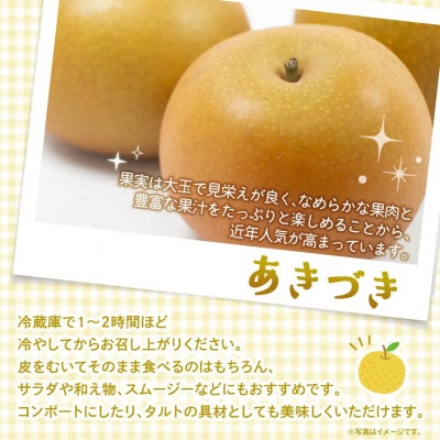 【2026年10月～発送】あきづき梨  5kg(8～12玉)(茨城県共通返礼品 [梨]:大子町産)