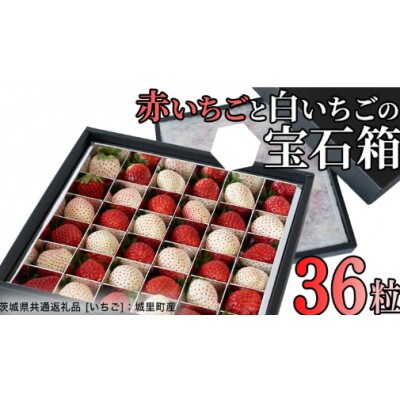 赤白いちごの宝石箱アソート 36粒 【2025年12月から発送開始】(茨城県共通返礼品:城里町産)