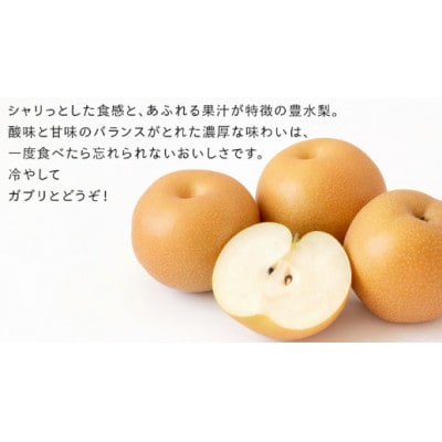 豊水 梨 10kg(18～24玉)【2026年10月より発送開始】(茨城県共通返礼品:大子町産)