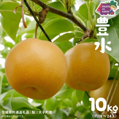 豊水 梨 10kg(18～24玉)【2026年9月より発送開始】(茨城県共通返礼品:大子町産)