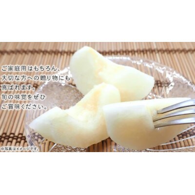 豊水 梨 10kg(18～24玉)【2026年10月より発送開始】(茨城県共通返礼品:大子町産)