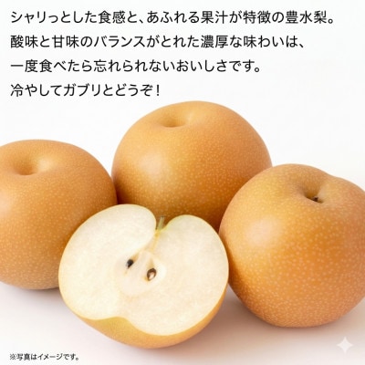 豊水 梨 10kg(18～24玉)【2026年9月より発送開始】(茨城県共通返礼品:大子町産)