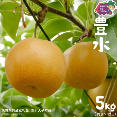 豊水 梨 5kg(8～12玉)【2026年9月より発送開始】(茨城県共通返礼品 [梨]:大子町産)