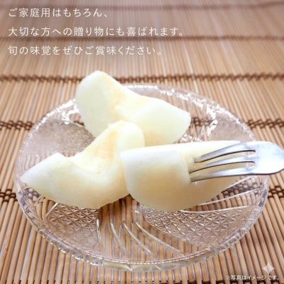 豊水 梨 5kg(8～12玉)【2026年9月より発送開始】(茨城県共通返礼品 [梨]:大子町産)