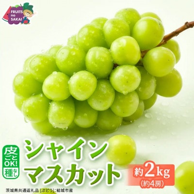 【2026年9月より発送開始】シャインマスカット 2kg(約4房)(茨城県共通返礼品:結城市産)