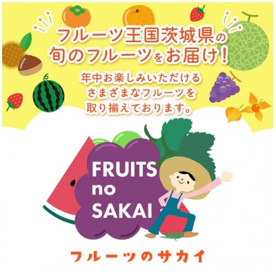 【2026年9月より発送開始】シャインマスカット 2kg(約4房)(茨城県共通返礼品:結城市産)