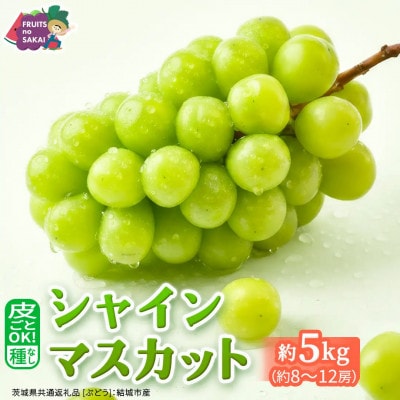 【2026年9月～発送開始】シャインマスカット 5kg(約8～12房)(茨城県共通返礼品:結城市産)