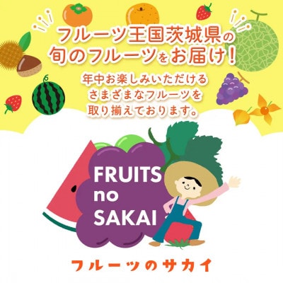 【2026年9月～発送開始】シャインマスカット 5kg(約8～12房)(茨城県共通返礼品:結城市産)