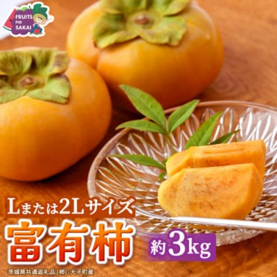 富有柿 Lまたは2L 約3kg(茨城県共通返礼品 [柿]:大子町産)