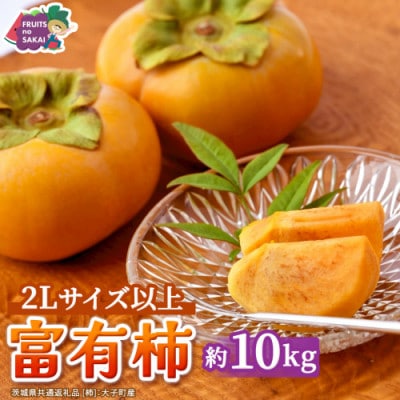 富有柿 2L以上 約10kg(茨城県共通返礼品 [柿]:大子町産)