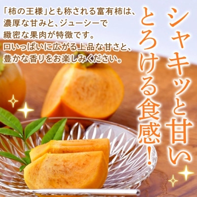 富有柿 2L以上 約10kg(茨城県共通返礼品 [柿]:大子町産)