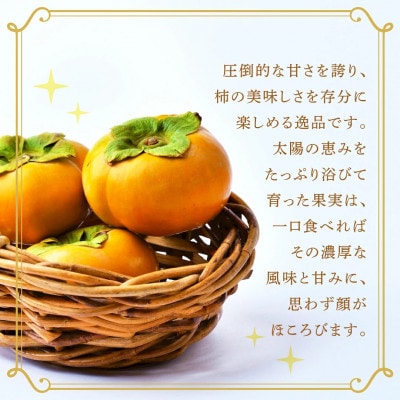 富有柿 2L以上 約10kg(茨城県共通返礼品 [柿]:大子町産)