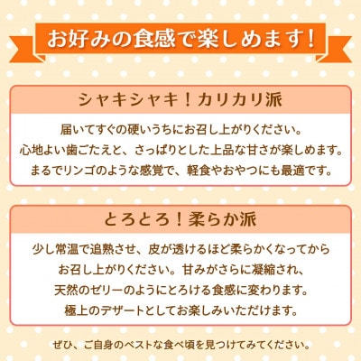 富有柿 2L以上 約10kg(茨城県共通返礼品 [柿]:大子町産)