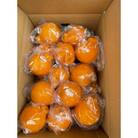 【2026年度出荷】低温貯蔵ハウス不知火　約5kg(フリーサイズ:L～3Lサイズ混合　16～23玉)