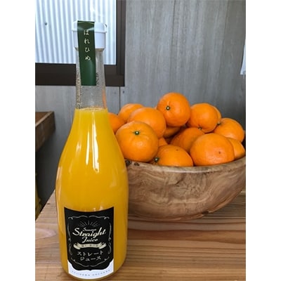 香川県産　無添加　はれひめ100%ストレートジュース720ml(単品)