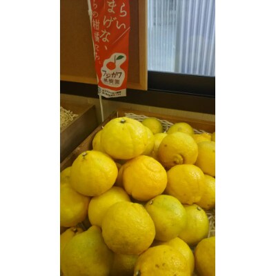 香川県産　無添加　はるか100%ストレートジュース720ml　2本セット