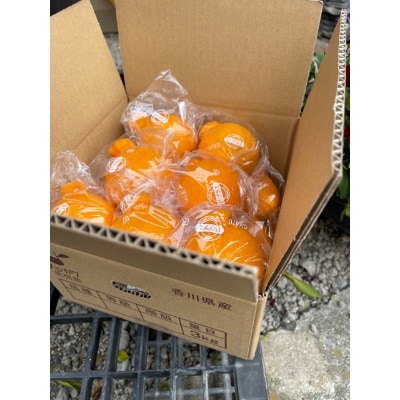 【2026年度出荷】低温貯蔵ハウス不知火 約3kg(フリーサイズ:L～3Lサイズ混合　10～15玉)