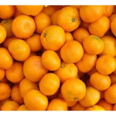 瀬戸内　小みかん!　コロ丸(3S～2S)　約3kg