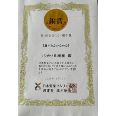 2025年度　フジカワ温州みかん フリーサイズ(2S～2L) 約10kg