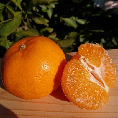 はるみ　約3kg