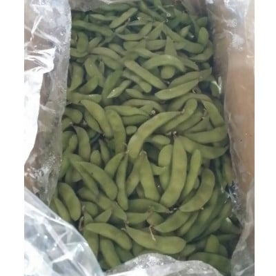 枝豆　約2kg
