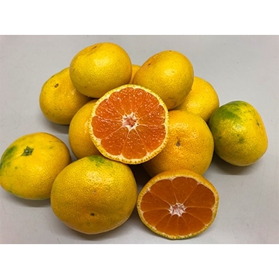 極早生みかん　約4kg
