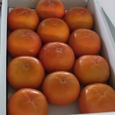 富有柿　3.5kg