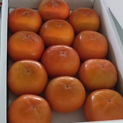 富有柿　3.5kg