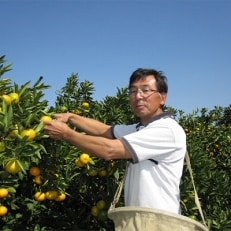 小出さんの温州みかん　3.5kg