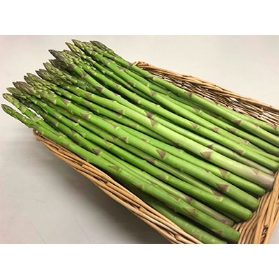 香川県オリジナルアスパラガス「さぬきのめざめロング」(春芽)　約1kg