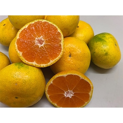 ゆら早生みかん　約3kg