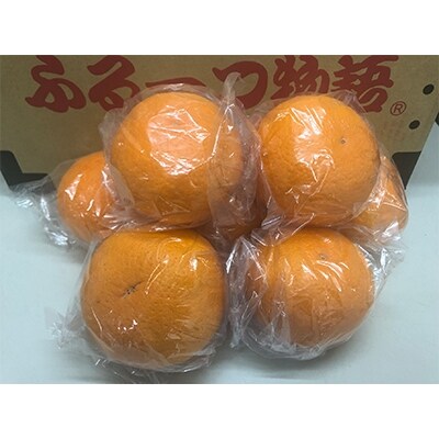 貯蔵清見　約4kg