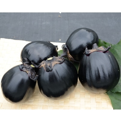 三豊なす　約2kg