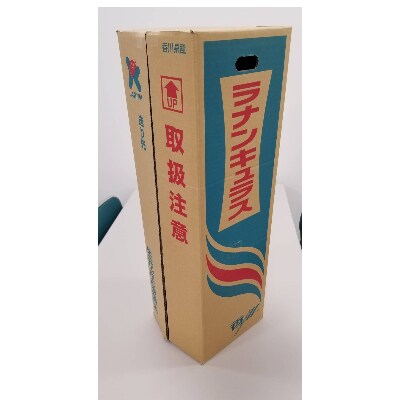 【年明け発送】ラナンキュラス「てまり(白系色)」切花50本