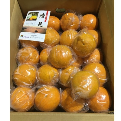 貯蔵きよみ　約8kg