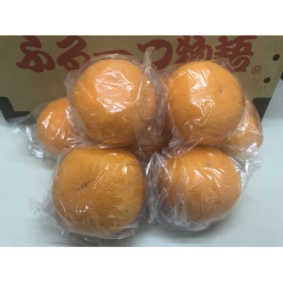貯蔵きよみ　約8kg