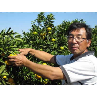 小出さんの小粒温州みかん　約5kg