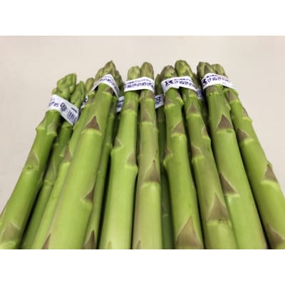 さぬきのめざめ(アスパラガス)夏芽　500g
