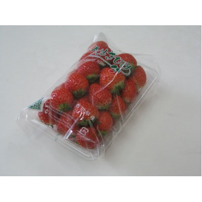 【期間限定】可愛い丸々小粒さぬきひめいちご　約1kg