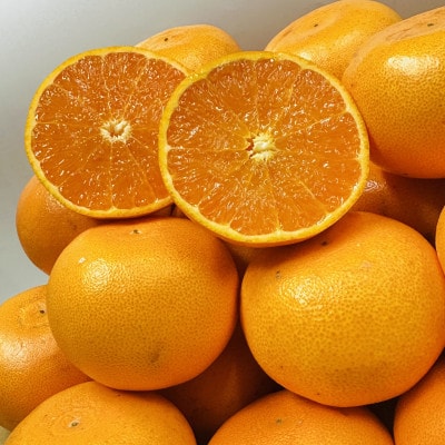 【期間限定!】濃厚でとろける果肉「せとか」(より濃厚な小玉サイズ)　約5kg