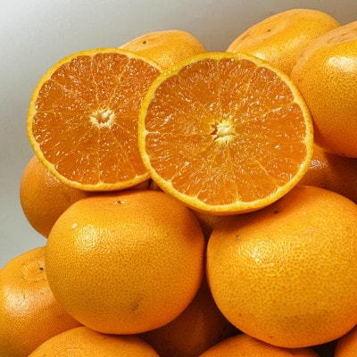 【期間限定!】濃厚でとろける果肉「せとか」(ご家庭用)　約5kg