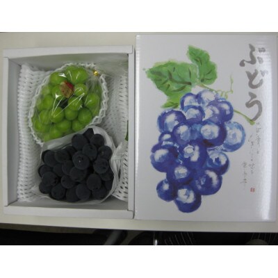 人気の2品種　シャインマスカット+ピオーネ食べ比べセット　約1.2kg(各1房)