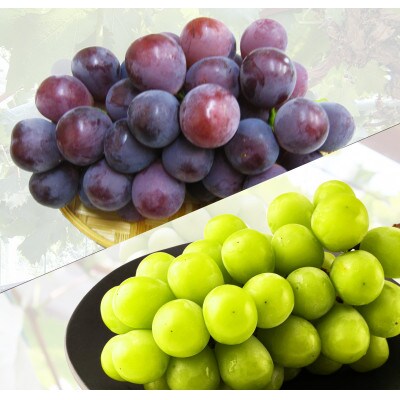 【満足セット】シャインマスカット+赤or黒ぶどう1品種食べ比べセット　約2kg(各1～3房)