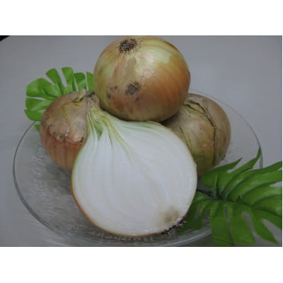 【2026年3月~5月発送】この時期にしか味わえない、みずみずしく甘み豊かな「新玉ねぎ」　約3kg