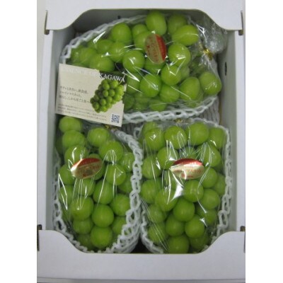 温室シャインマスカット　約2kg