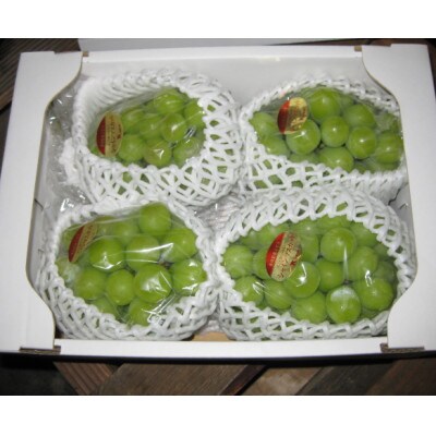 シャインマスカット　約2kg