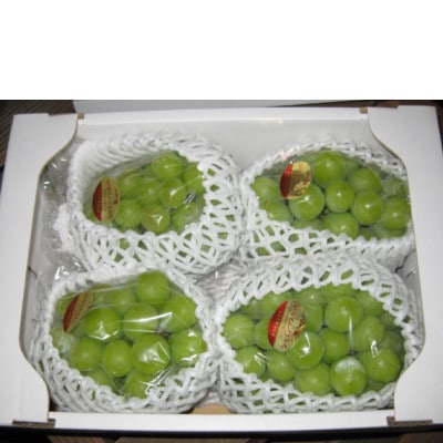 【8月31日(夏休み)までの期間限定企画!!】シャインマスカット　約1.9kg